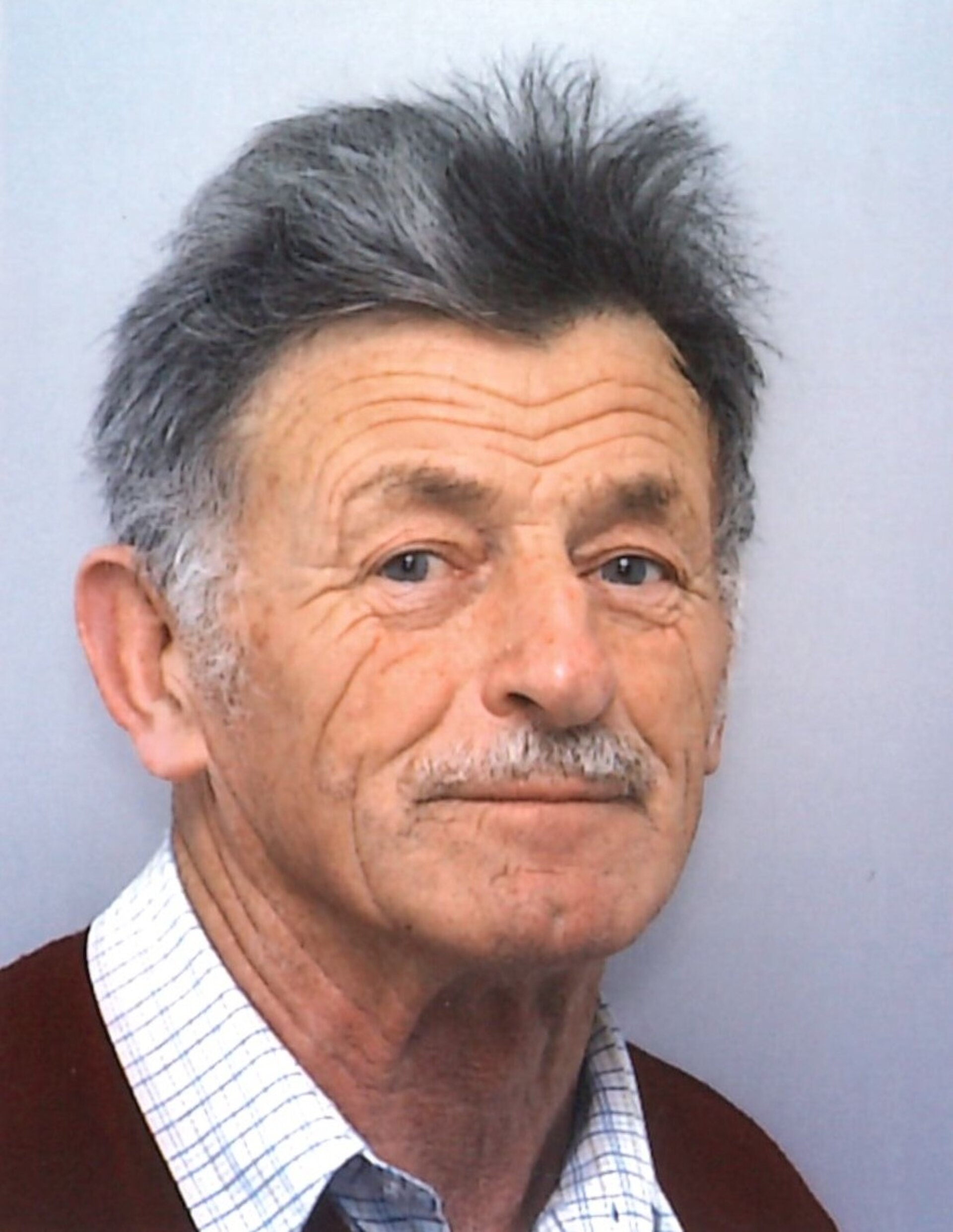 Johann-Schober.jpg