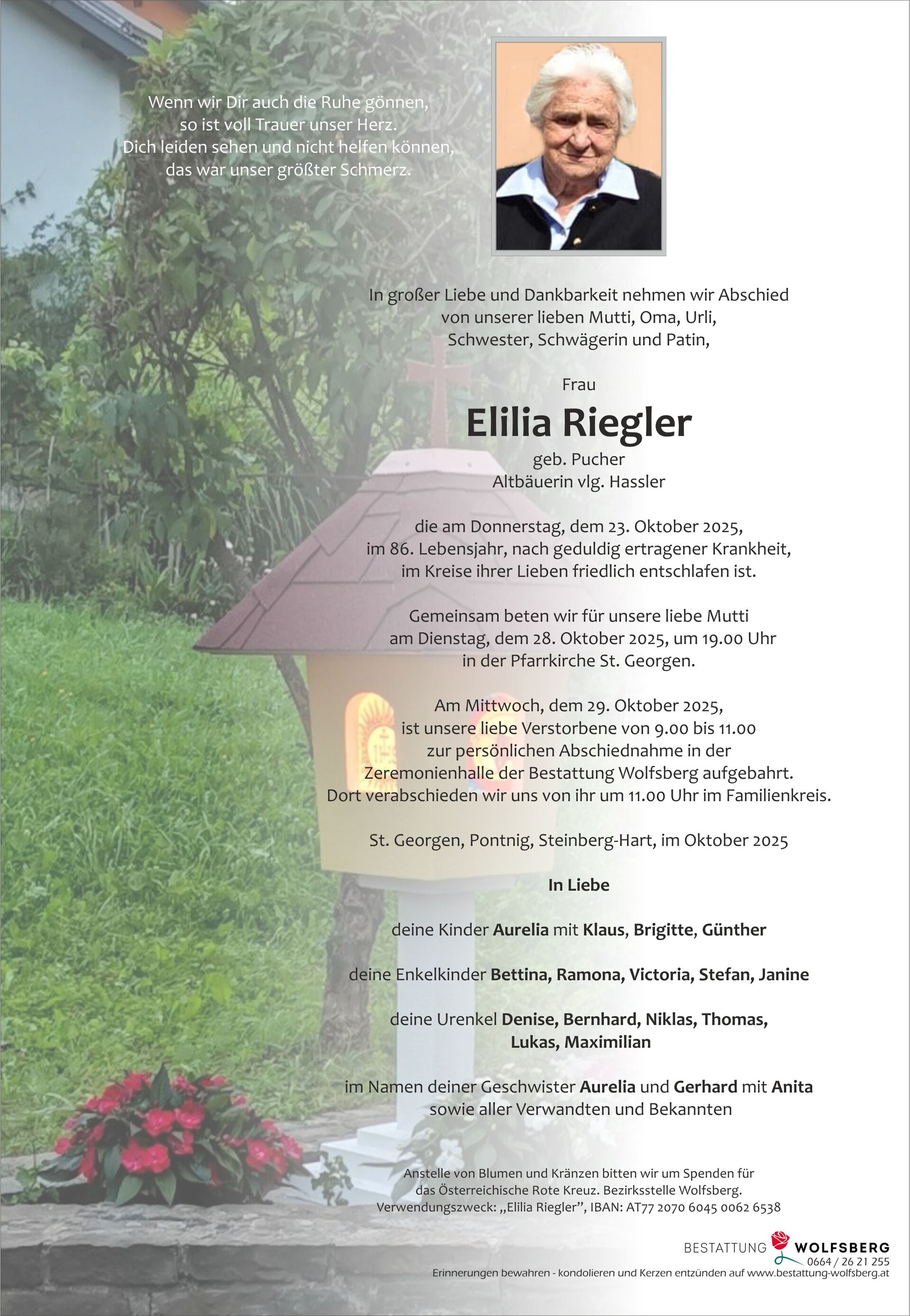 riegler parte internet.jpg